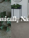 Style Watch: Organically Natural