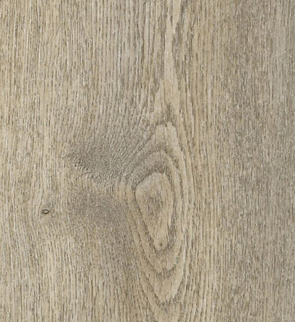 Vinyl Ashen Woods Oak DVRVP561-C ScratchBoss Collection