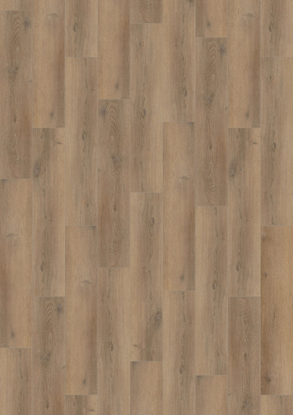 Vinyl Beacon HALGS9213 GRANDSTAND