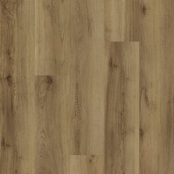 Vinyl Brush Stroke DVRVP679-C Modern Muse Collection