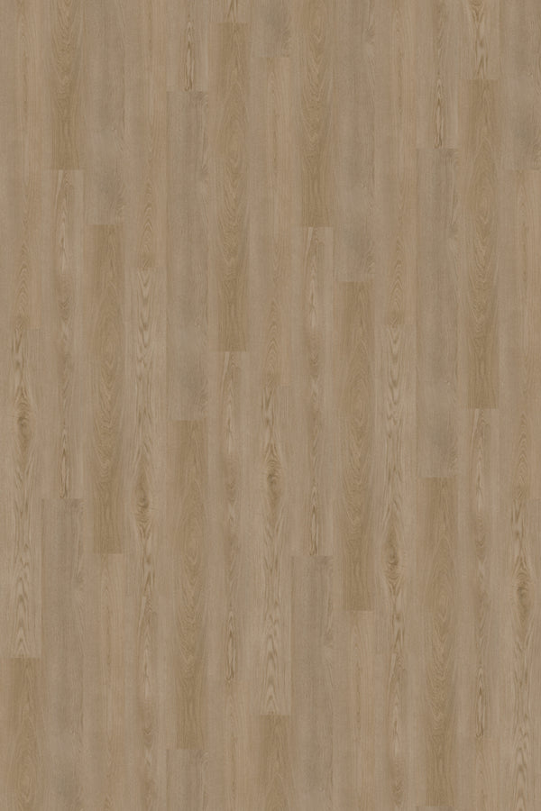 Vinyl Daybreak D-SC-DA Prime Specimens Collection