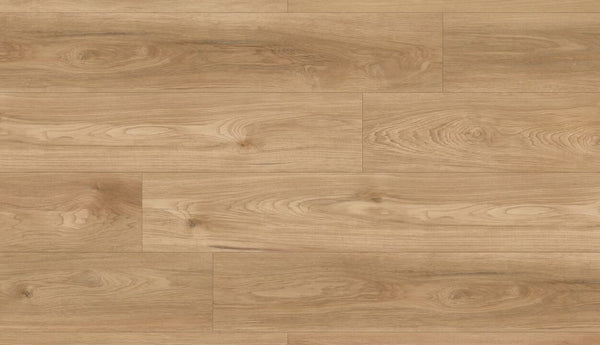 Vinyl Kendall MCGL-8805 Abbey Road Collection