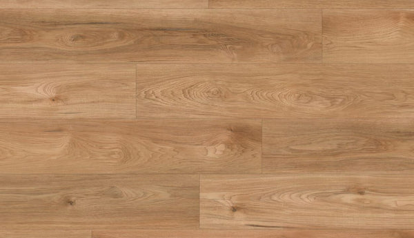 Vinyl Lazio MCGL-8801 Abbey Road Collection