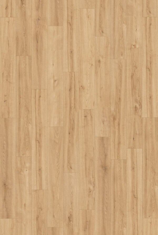 Vinyl Northlands Gallery - 8 X 50.8