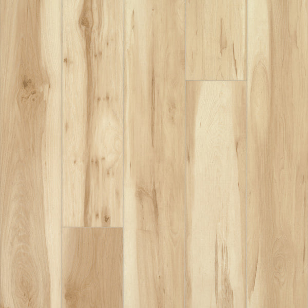 Vinyl Original Sandstorm Founder s Trace