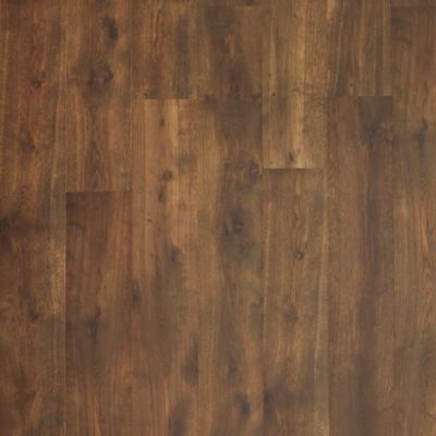 Laminate Rain Forest Oak UC5879 NatureTEK PLUS Colossia Collection