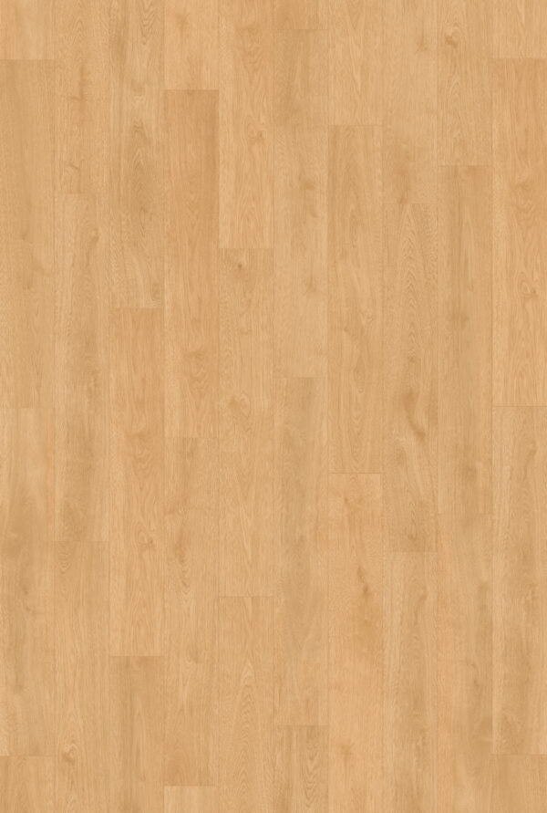 Vinyl Seaforth Gallery - 8 X 50.8