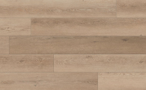 Vinyl Semillon Cellar-18209 Cellar House