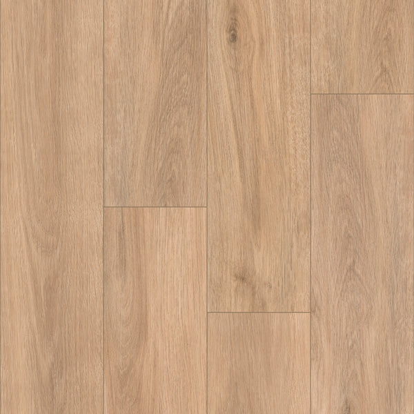 Vinyl TRADITION N5500D3970 American Liberty - Jackson