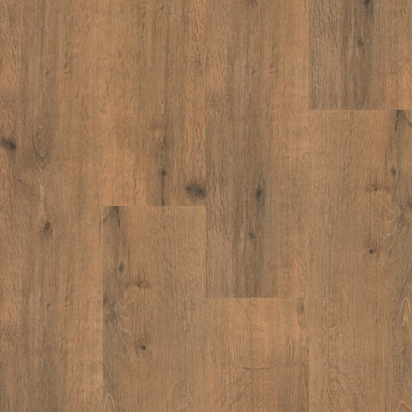 Vinyl TRIUMPH U5000D8050 Anthem Jackson