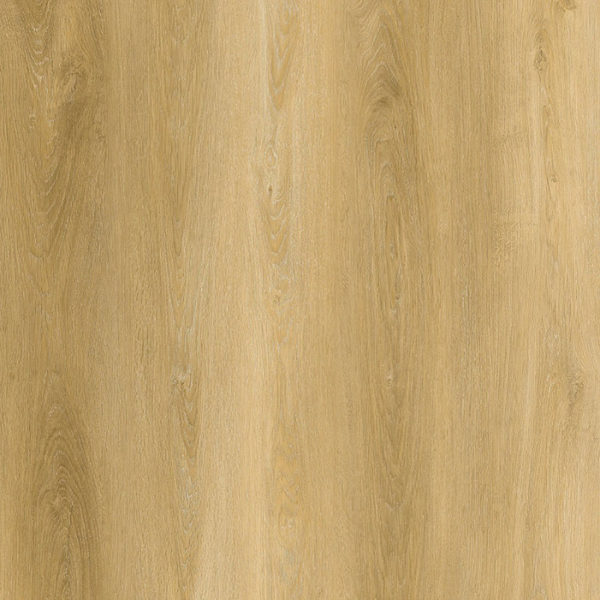 Vinyl Vernal Equinox Premium 8 Series