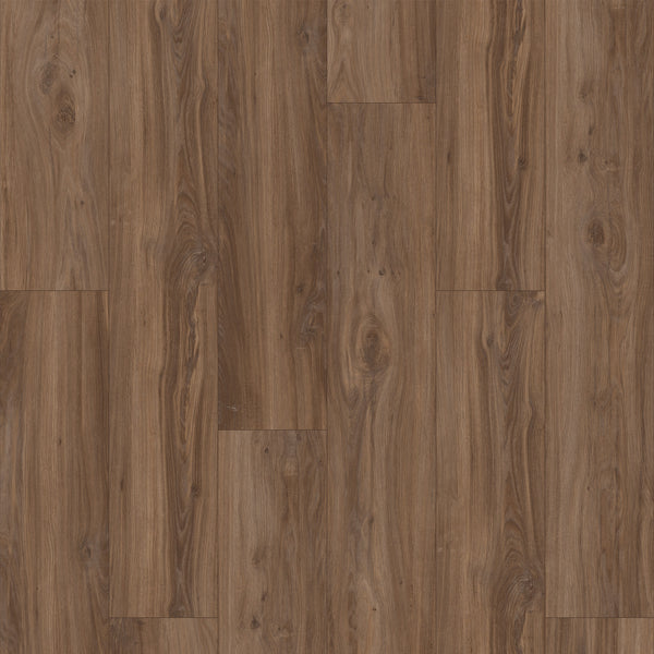 Vinyl Loggerhead Oak Leighton II