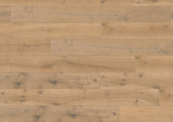 Hardwood Ballenas VALFTR124 European Oak (Heartwood)