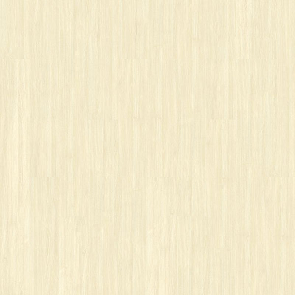 Vinyl Biscotti Familiar Front. II P