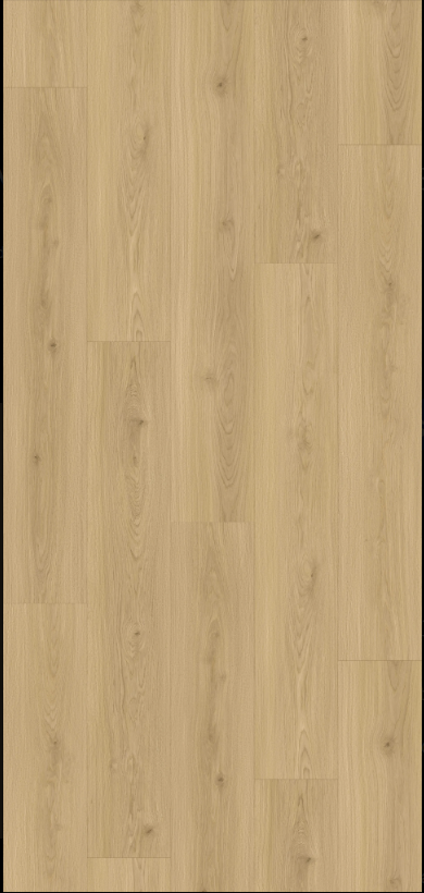 Laminate Blonde Ash VAFBA8817 3X Moisture Shield Series Collection