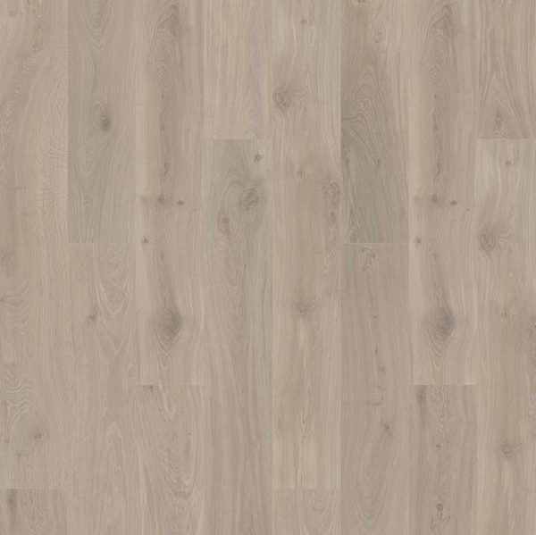 Laminate CALIGRAPHY OAK USB07326 ELLICOTT POINT