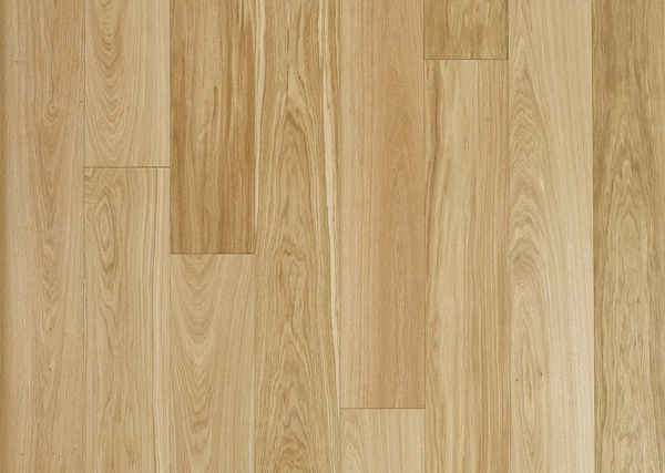 Hardwood Cork Wedge Oak Tideland Trail