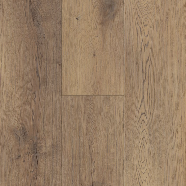 Vinyl Maximus 6003 Colossal