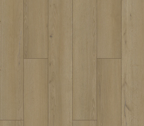 Vinyl Notre Dame ICON-107 ICON