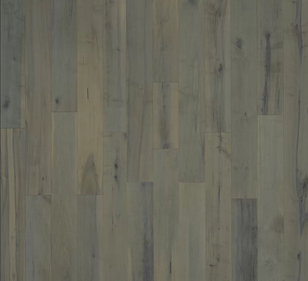 Hardwood Williams Maple Hallmark NOVELLA COLLECTION