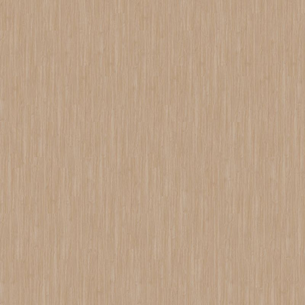 Vinyl Plaster Familiar Front. II P