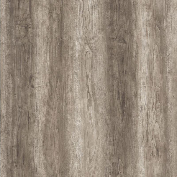 Vinyl ARES R-803 ROMAN Collection