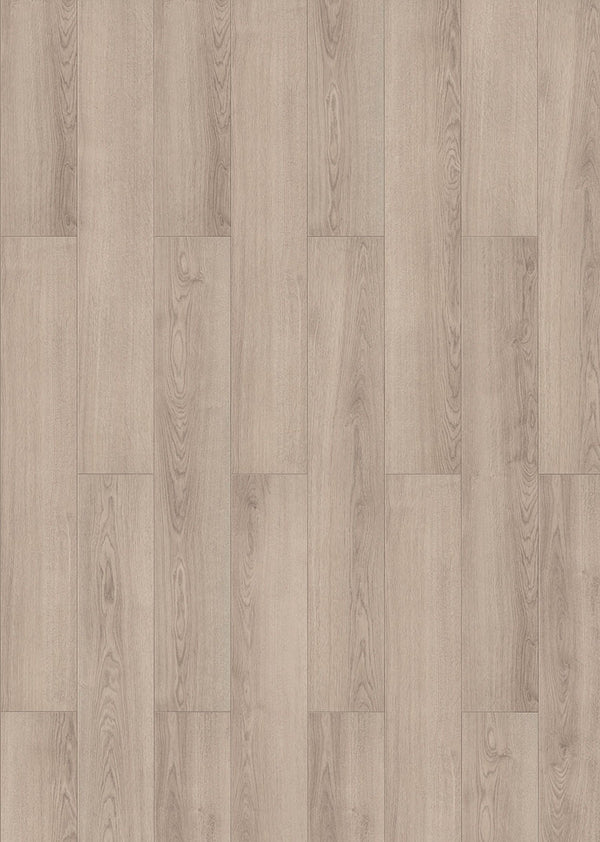 Laminate ADELAIDE INH56347 Visions 8 MM