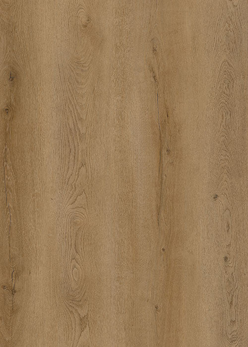 Vinyl PM502 Austin Pro Max