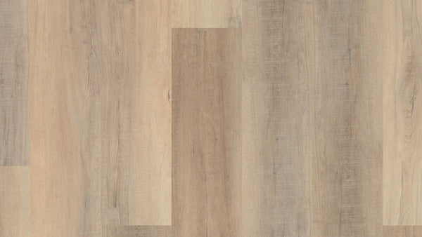 Vinyl Bastion Elm VV488 CORETEC PRO PLUS XL ENHANCED HD COLLECTION