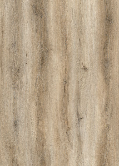 Vinyl PM506 Caspian Sands Pro Max