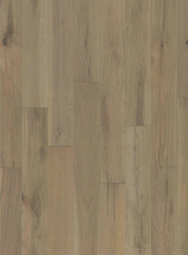 Hardwood Covington K282453 White Oak Lauderhill