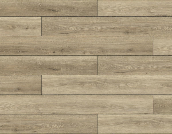 Vinyl DOLCE BB-I The Bambino Collection