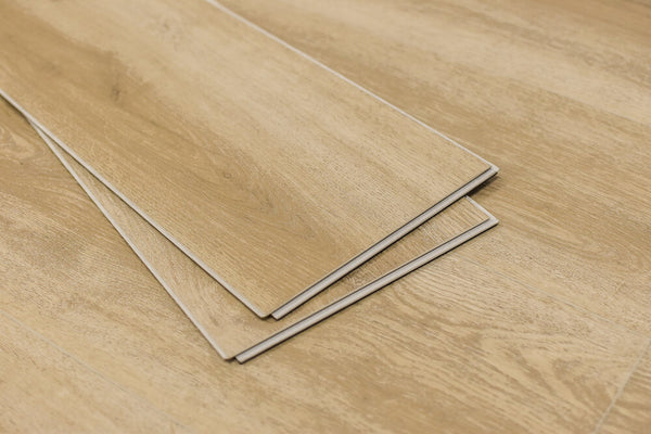 VISTA CLAY MNST-2019054 Invincta