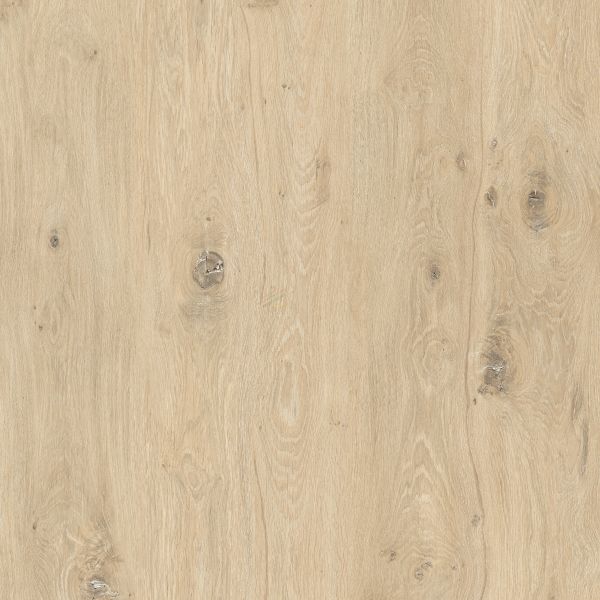 Vinyl LUNAR N-938 NASA Collection