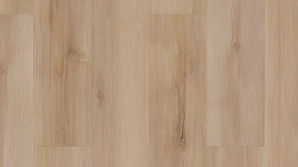 Vinyl Lucent Oak VV492 CORETEC PRO PLUS ENHANCED PLANKS COLLECTION
