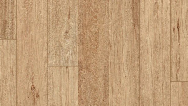 Special First Quality Vinyl Lyric Oak VV492 CORETEC PRO PLUS ENHANCED PLANKS COLLECTION