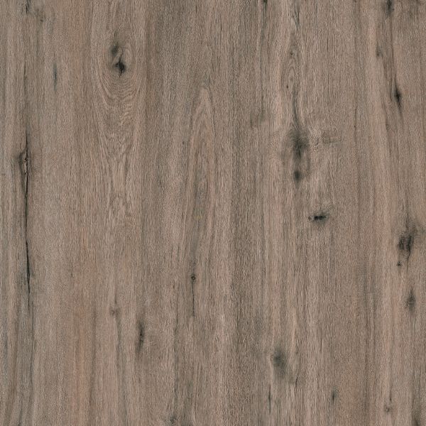 Vinyl MAGELLAN N-931 NASA Collection