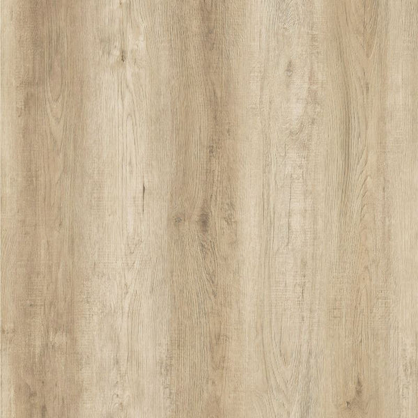 Vinyl OCEANUS R-804 ROMAN Collection