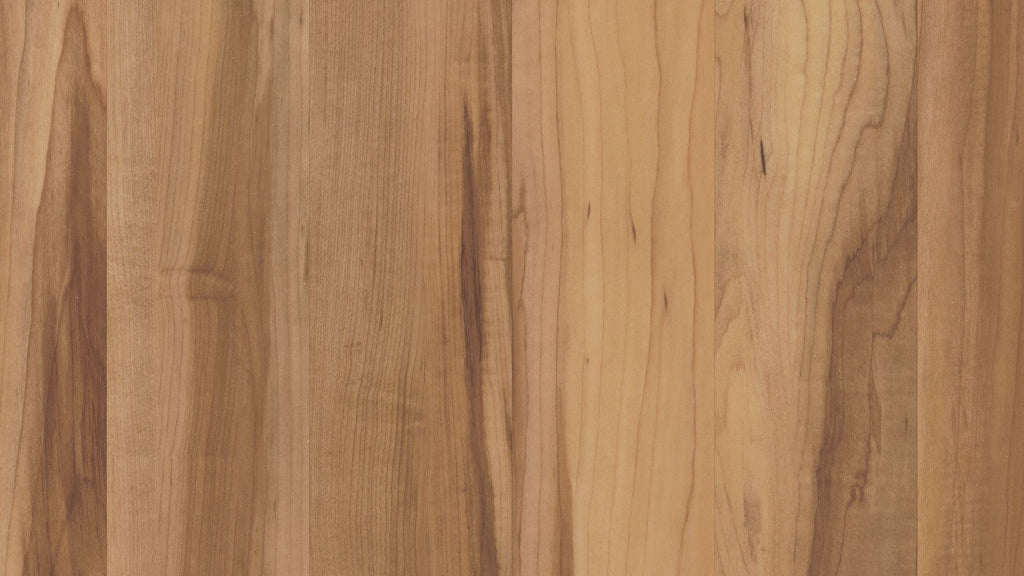 MAPPON REED ゆりえ　5本セット　ロレー Ronco Wide Egg Noodles, 12 Ounce -- 12 per case.