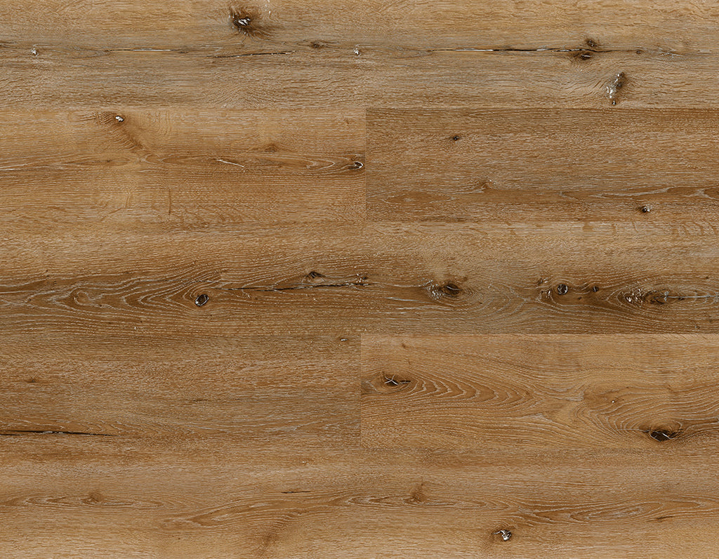 SEQUOIA1_1024x1024.jpg?v=