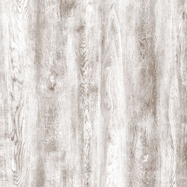 Vinyl SKYLAB N-933 NASA Collection