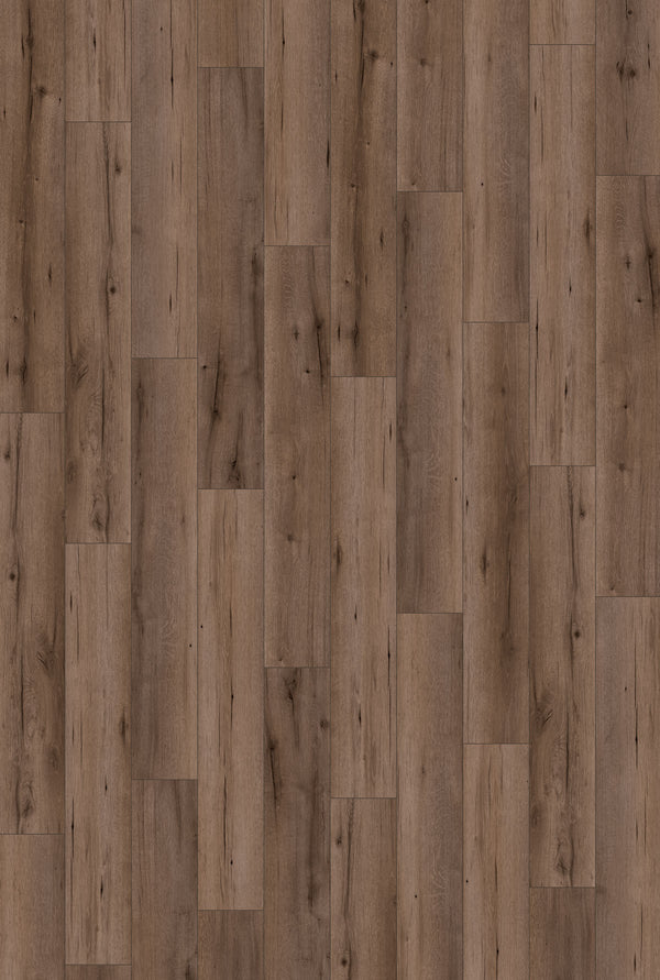 Laminate Sheridan Bay 53463 Sono Eclipse Plank
