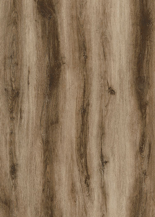 Vinyl PM508 Sierra Forest Pro Max