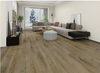 Vinyl Champagne Oak Mountain Apex Collection