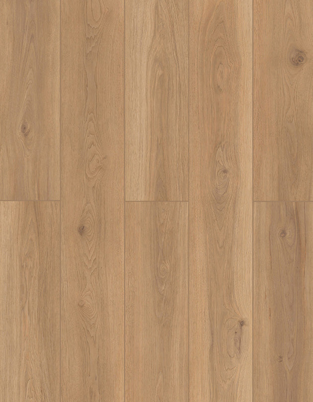 Vinyl LI-TS202 Backyard Garnish LONE STAR SPIRIT XL