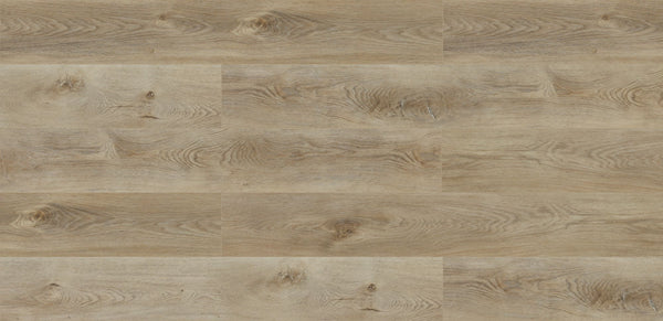 Vinyl Big Bend NP8102 National Parks