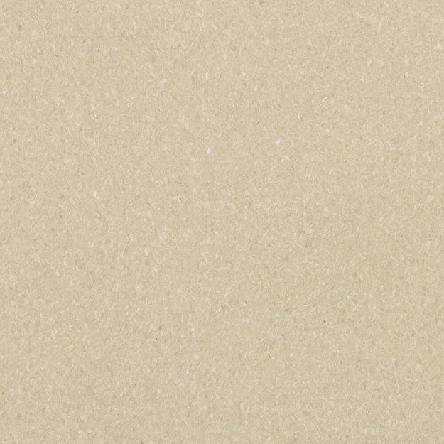 Vinyl Homogeneous Sheet City Dweller 1HG2M012 Mixed and Variegated