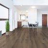 Laminate Sydney DP3021  Destinations Plus Collection