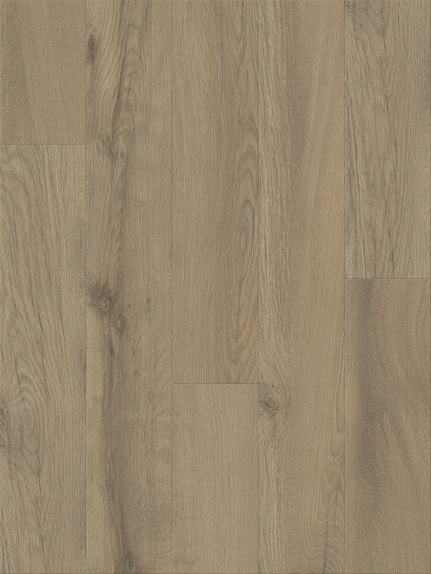 Vinyl Dry Back LVT DRIFTLAND 1LV09207 Nod to Nature REWILDING