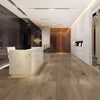 Hardwood Feather DMGP-704 Genese Pure Line